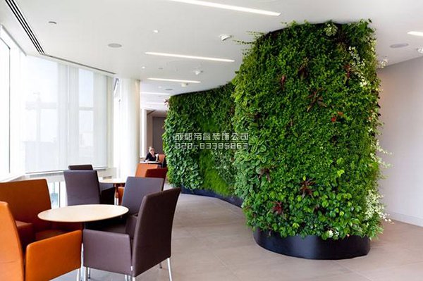 辦公室裝修完以后擺放什么綠植好？